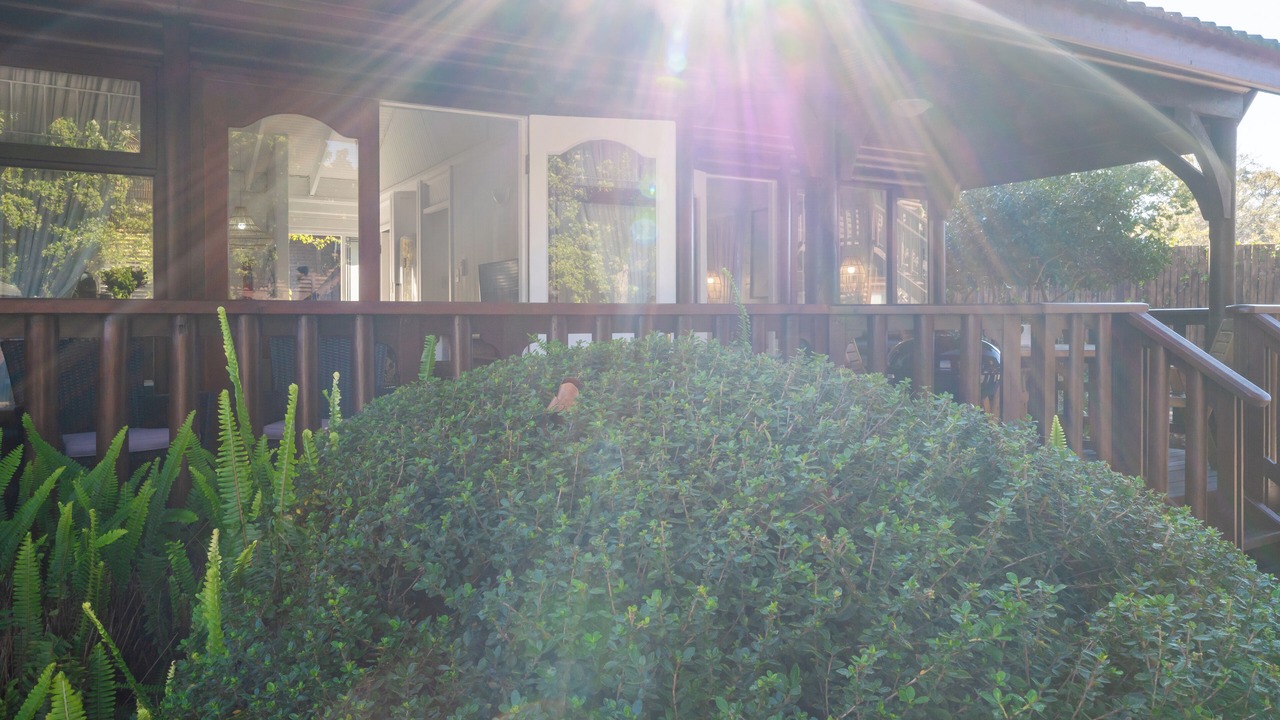 Photo of Outdoor in Old Place