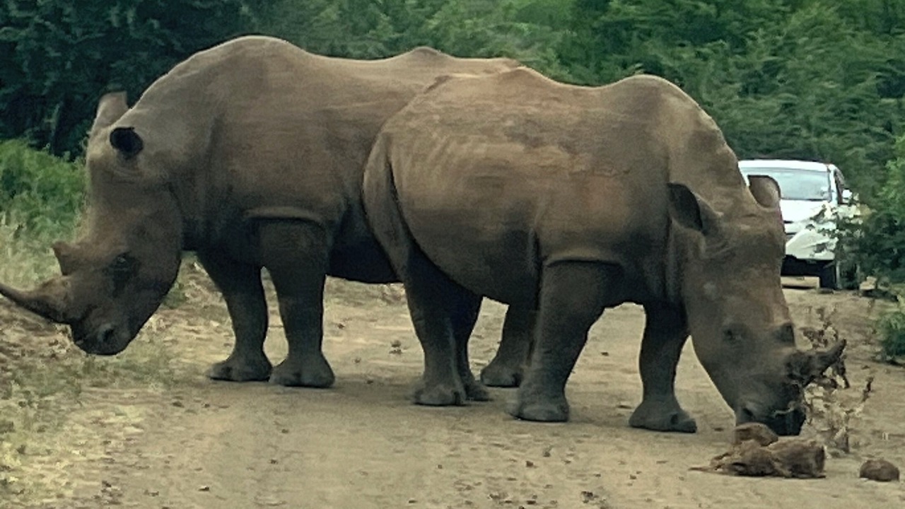 Photo of Others in St. Lucia