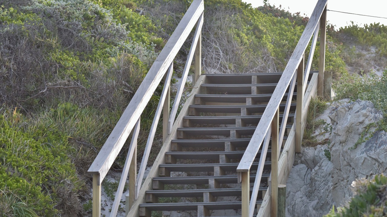 Photo of Others in Betty's Bay