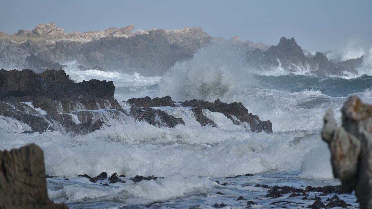 Photo of Others in Betty's Bay