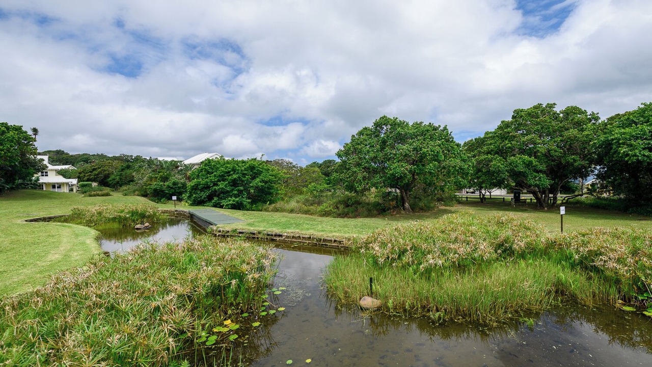 Photo of Outdoor in Port Edward