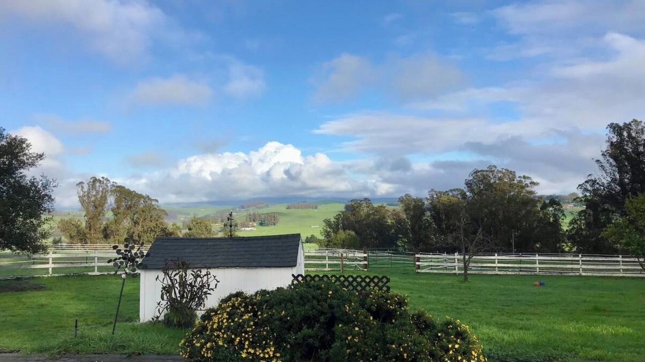 Photo of Outdoor in Petaluma