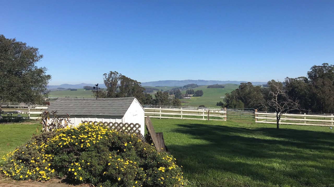 Photo of Outdoor in Petaluma