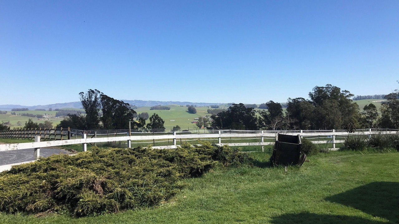 Photo of Others in Petaluma