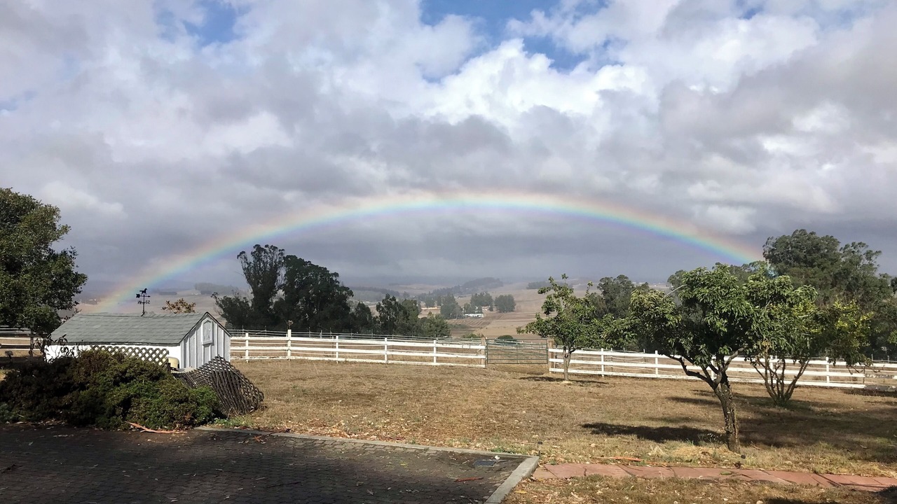 Photo of Others in Petaluma