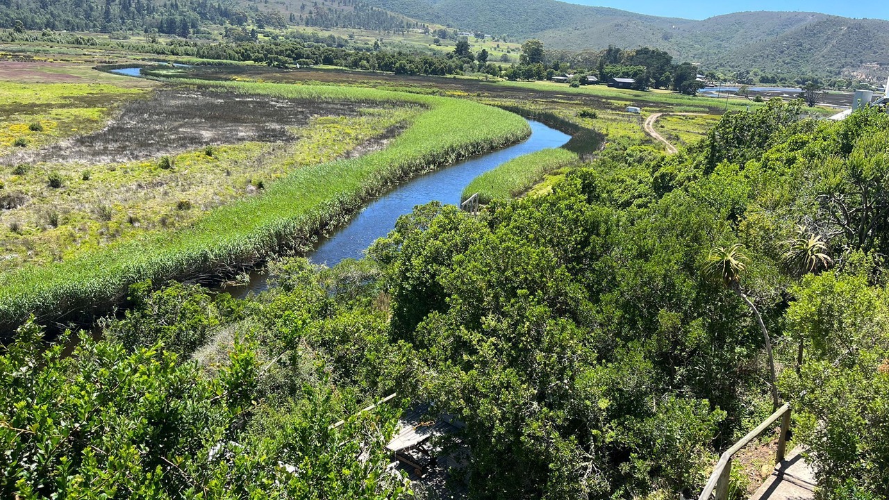 Photo of Others in Plettenberg Bay
