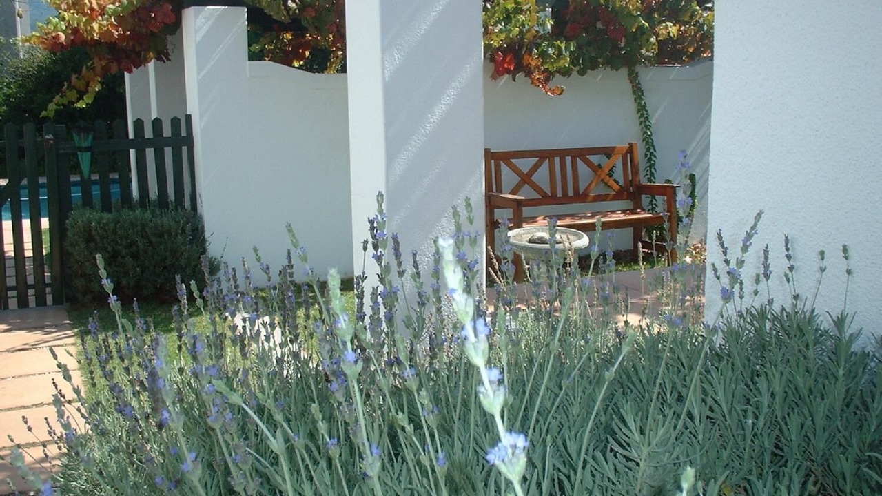 Photo of Outdoor in Franschhoek