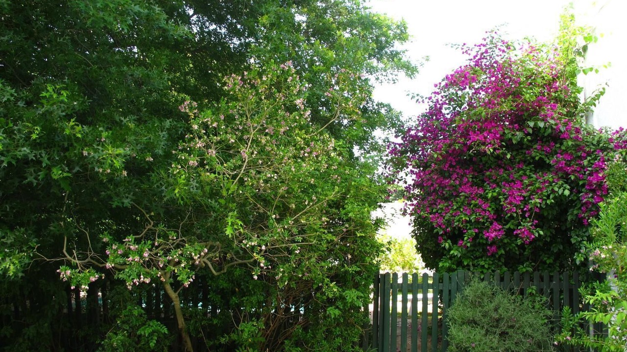 Photo of Outdoor in Franschhoek