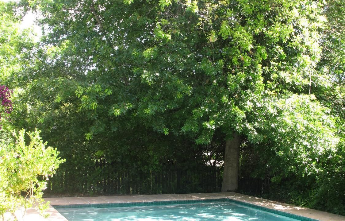 Photo of Outdoor in Franschhoek