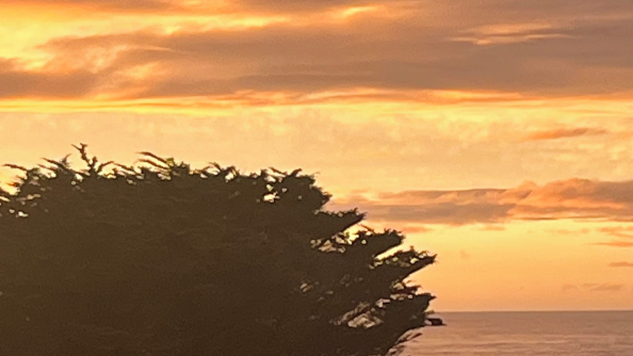 Photo of Others in Montara