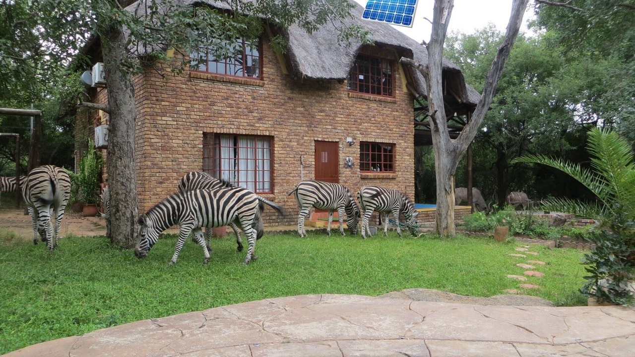 Photo of Outdoor in Marloth Park