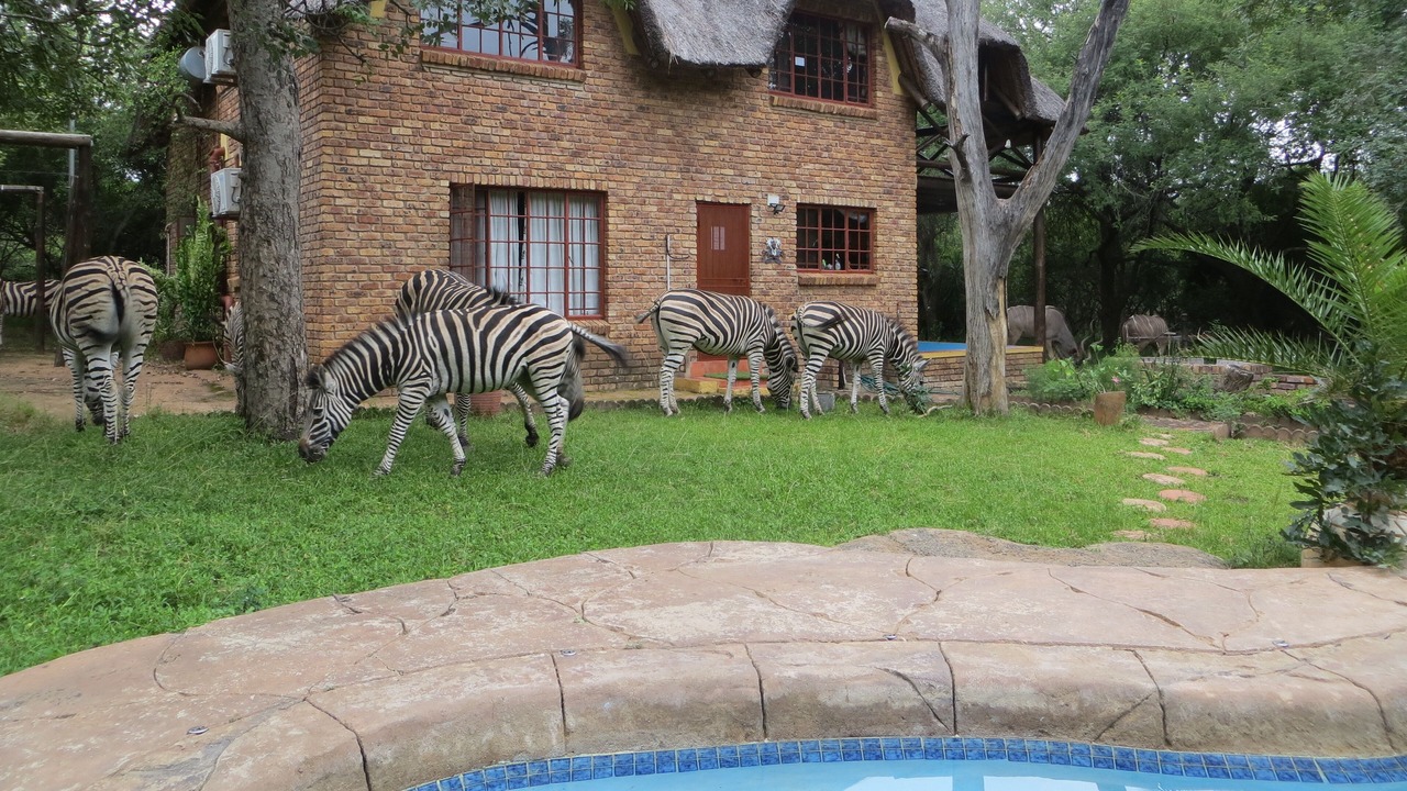 Photo of Outdoor in Marloth Park