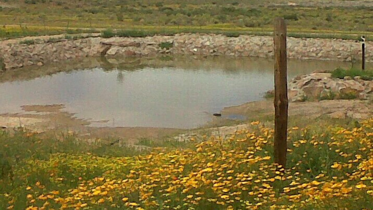 Photo of Outdoor in Springbok
