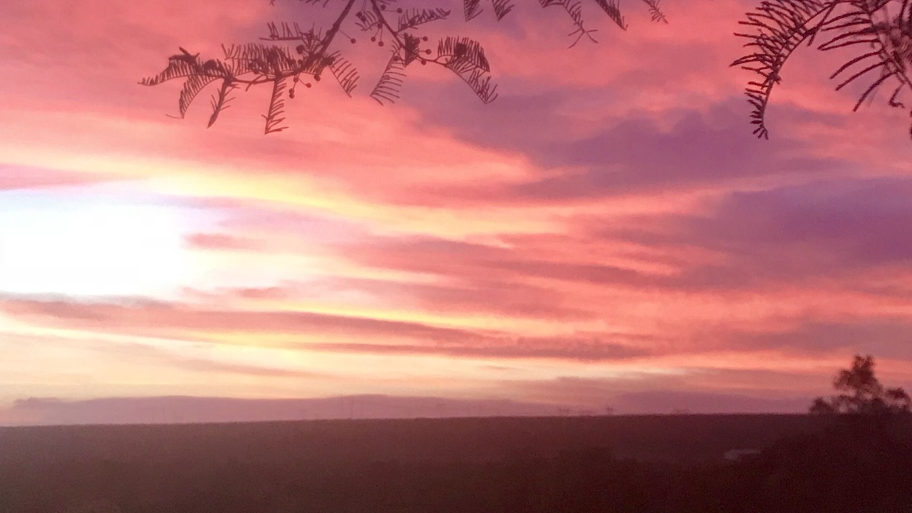 Photo of Outdoor in Addo
