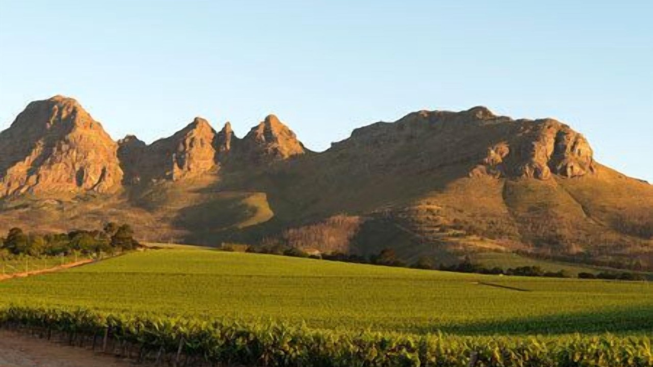 Photo of Outdoor in Stellenbosch