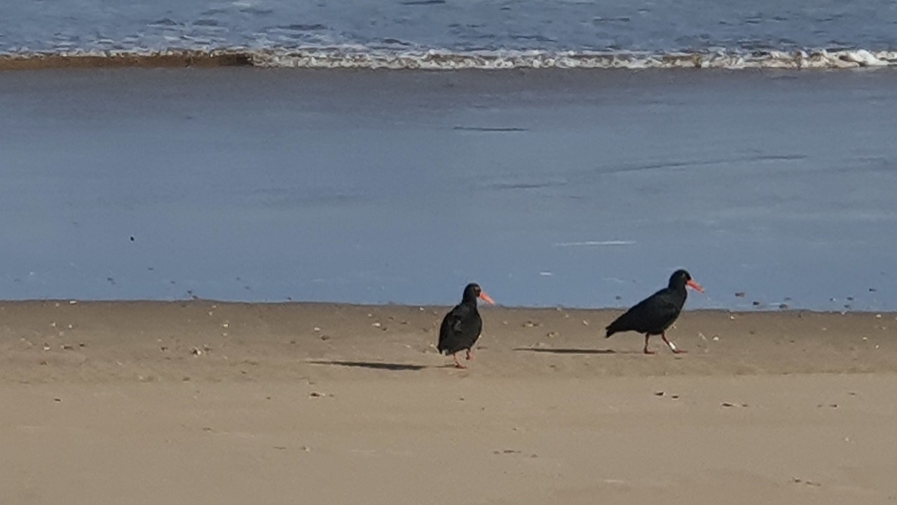 Photo of Others in Myoli Beach