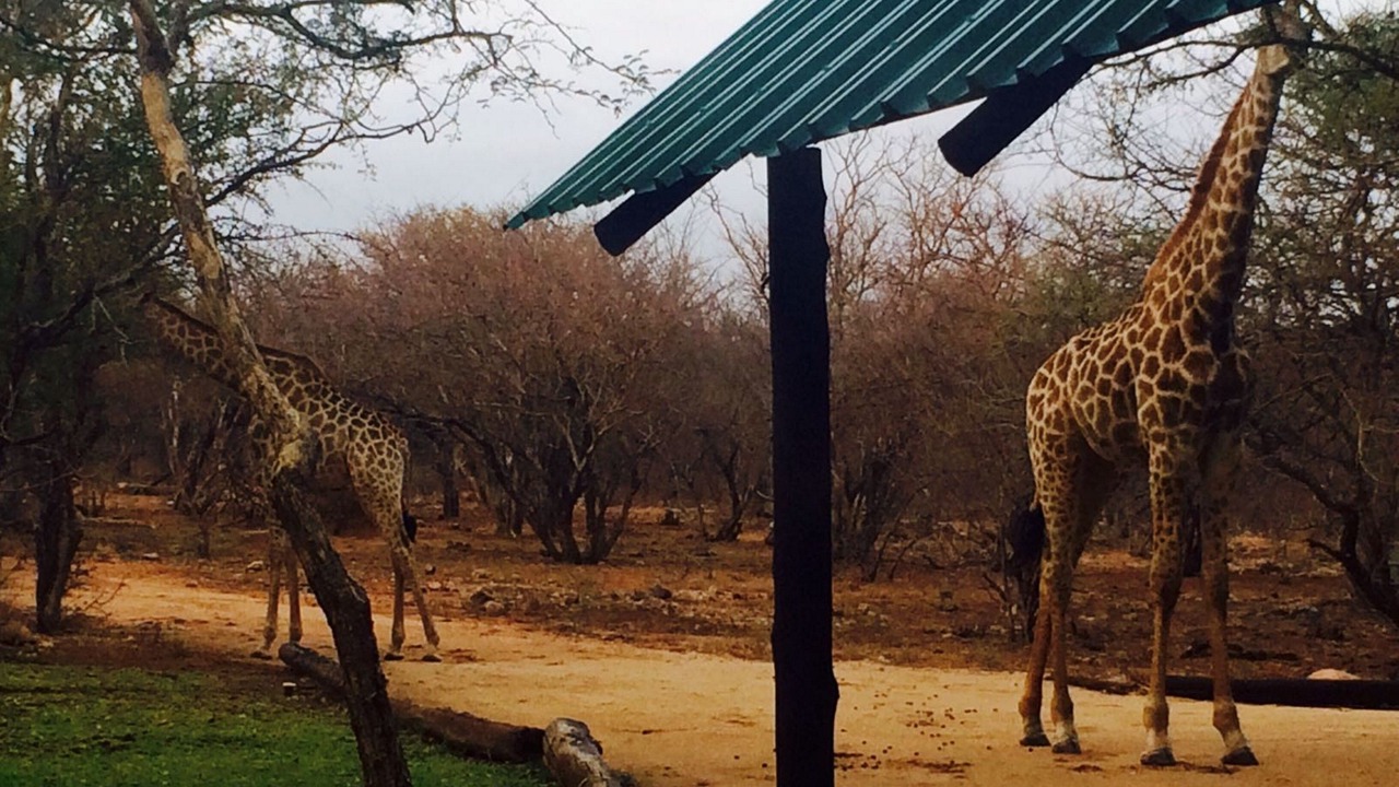 Photo of Others in Maruleng