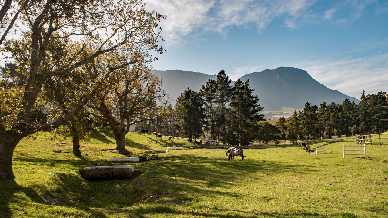 Photo of Others in Hermanus