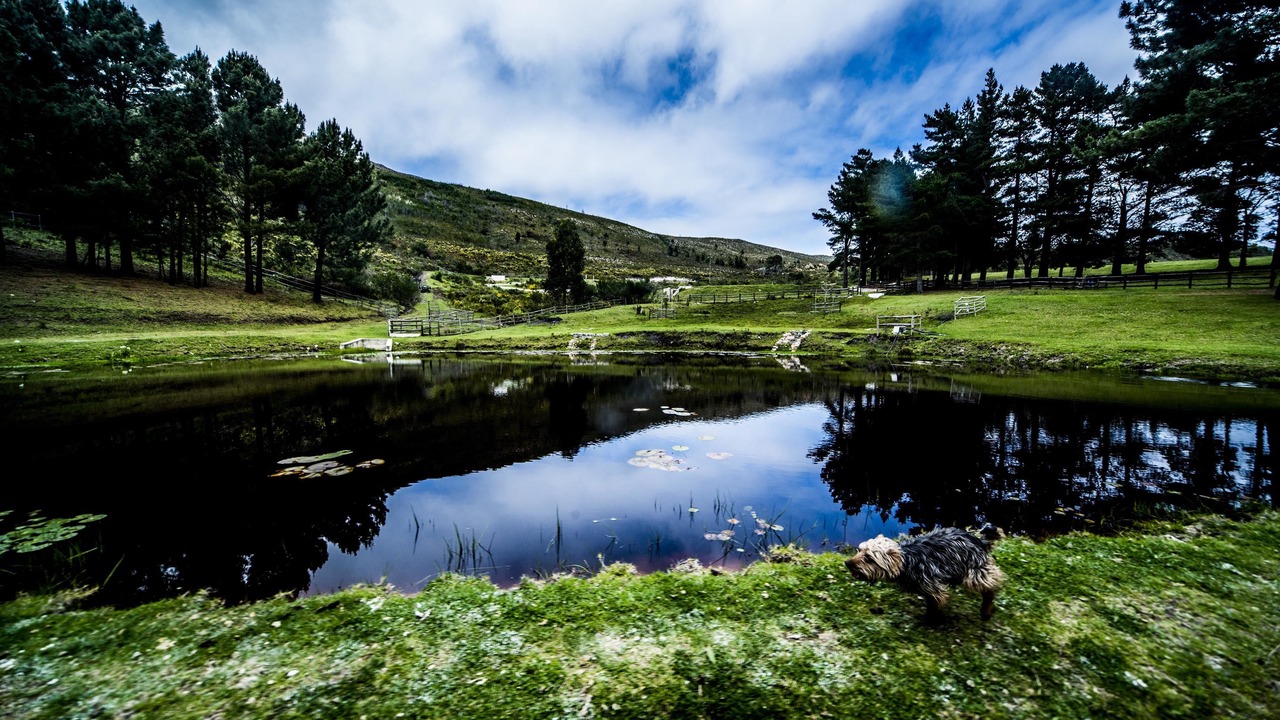 Photo of Outdoor in Hermanus
