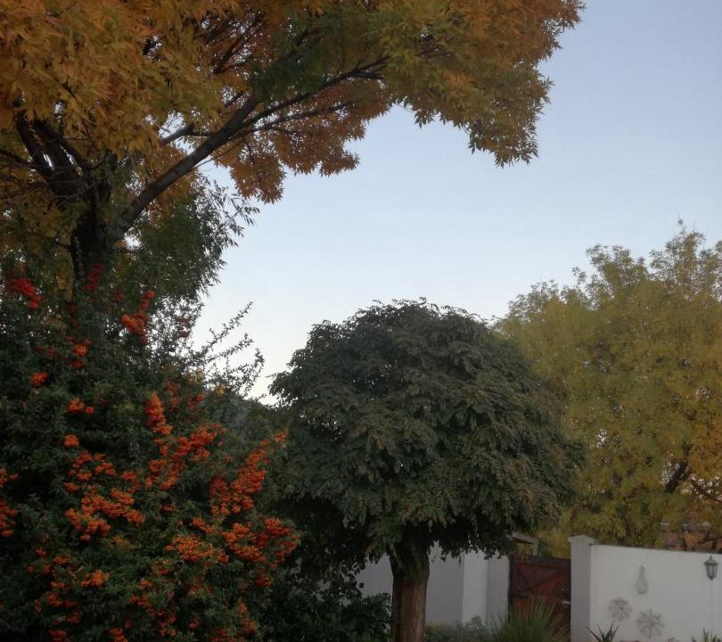 Photo of Others in Burgersdorp