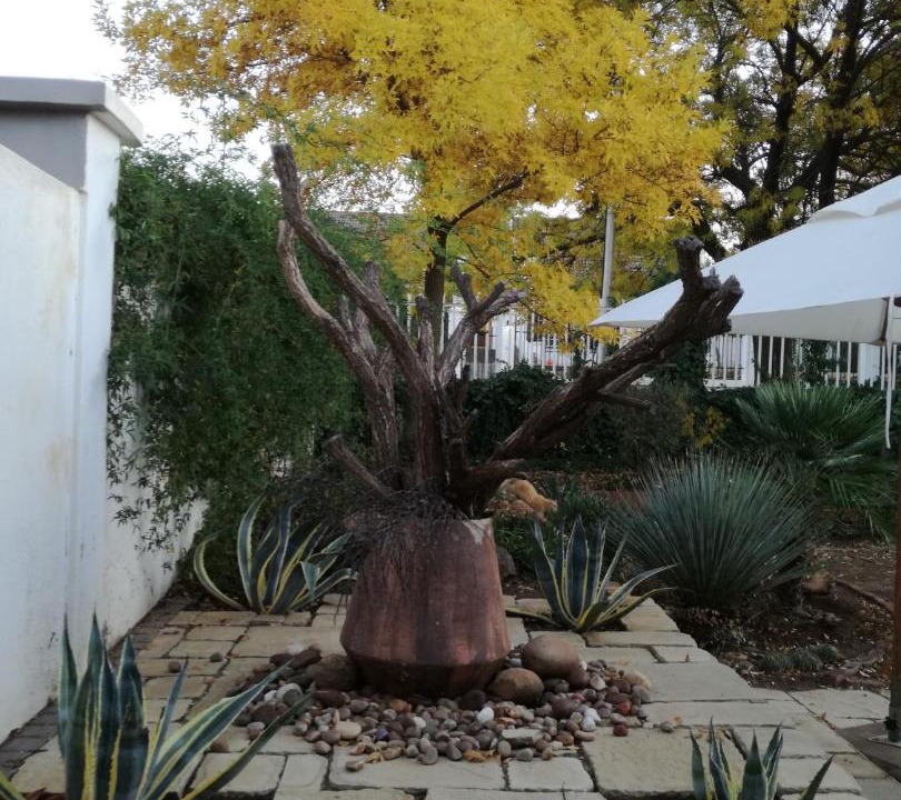 Photo of Others in Burgersdorp