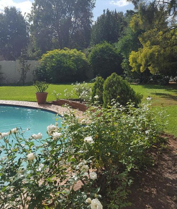 Photo of Others in Greater Johannesburg Metropolitan Area