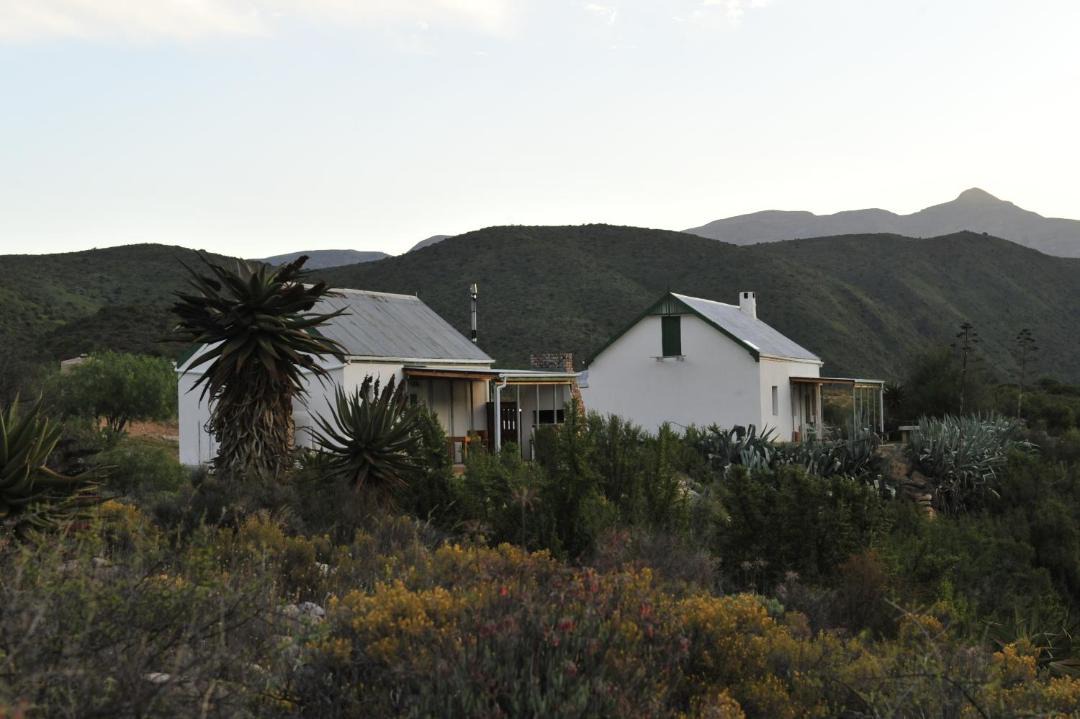 Photo of Others in Calitzdorp
