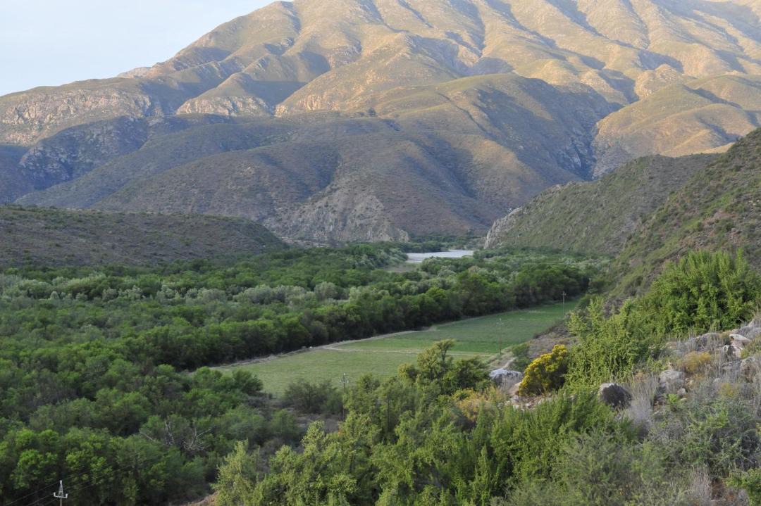 Photo of Others in Calitzdorp