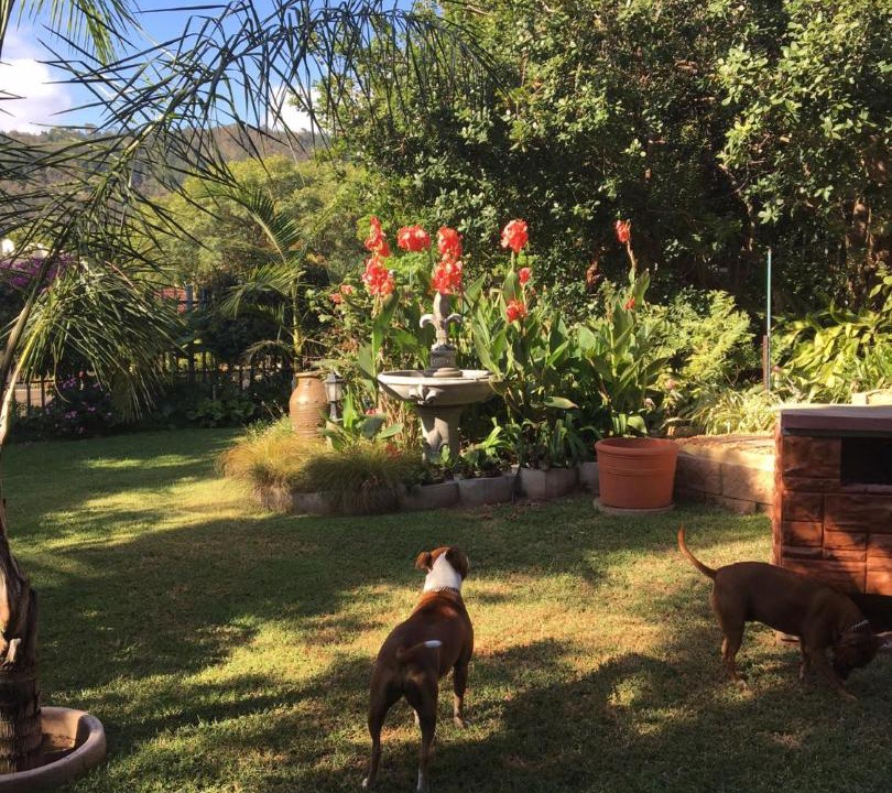 Photo of Others in Sedgefield