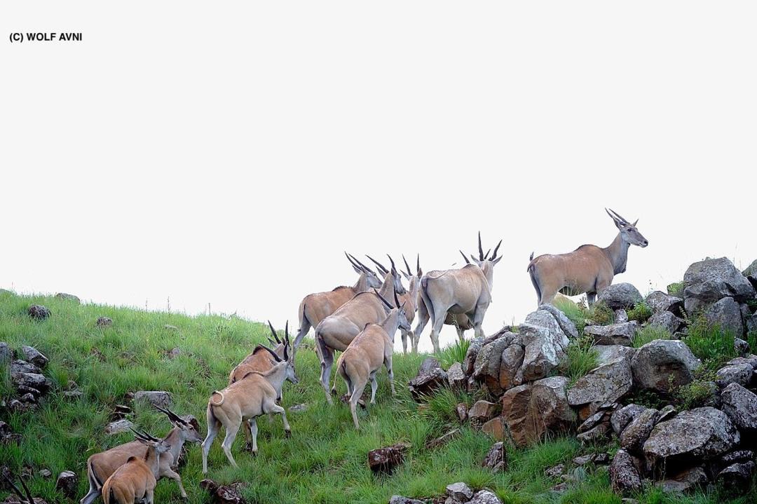Photo of Others in Kwa Sani
