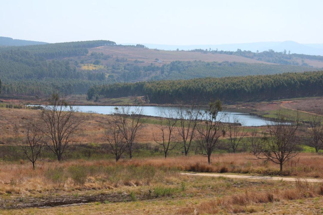 Photo of Others in White River
