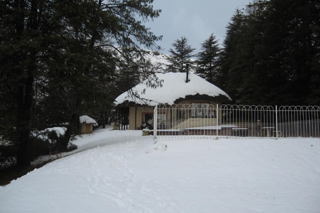 Photo of Others in Underberg