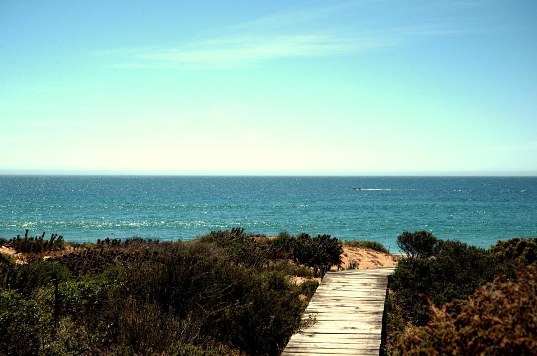 Photo of Others in Stompneusbaai