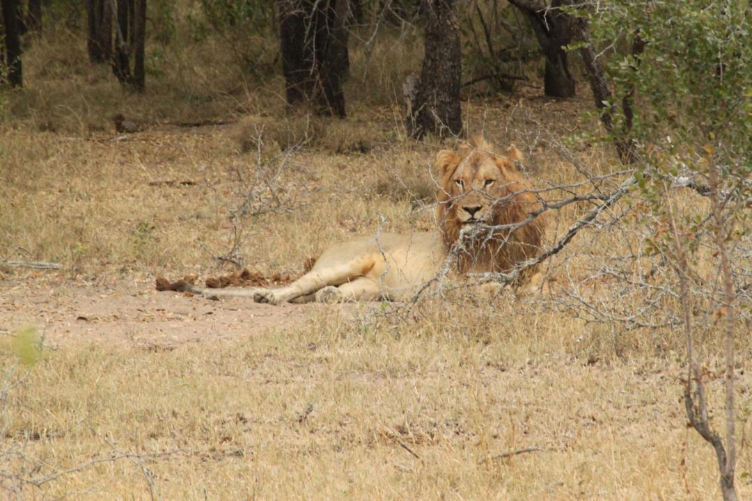 Photo of Others in Buffelspruit