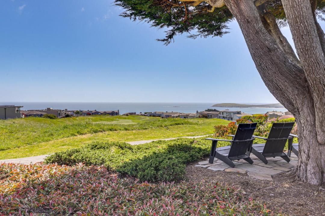 Photo of Others in Bodega Bay