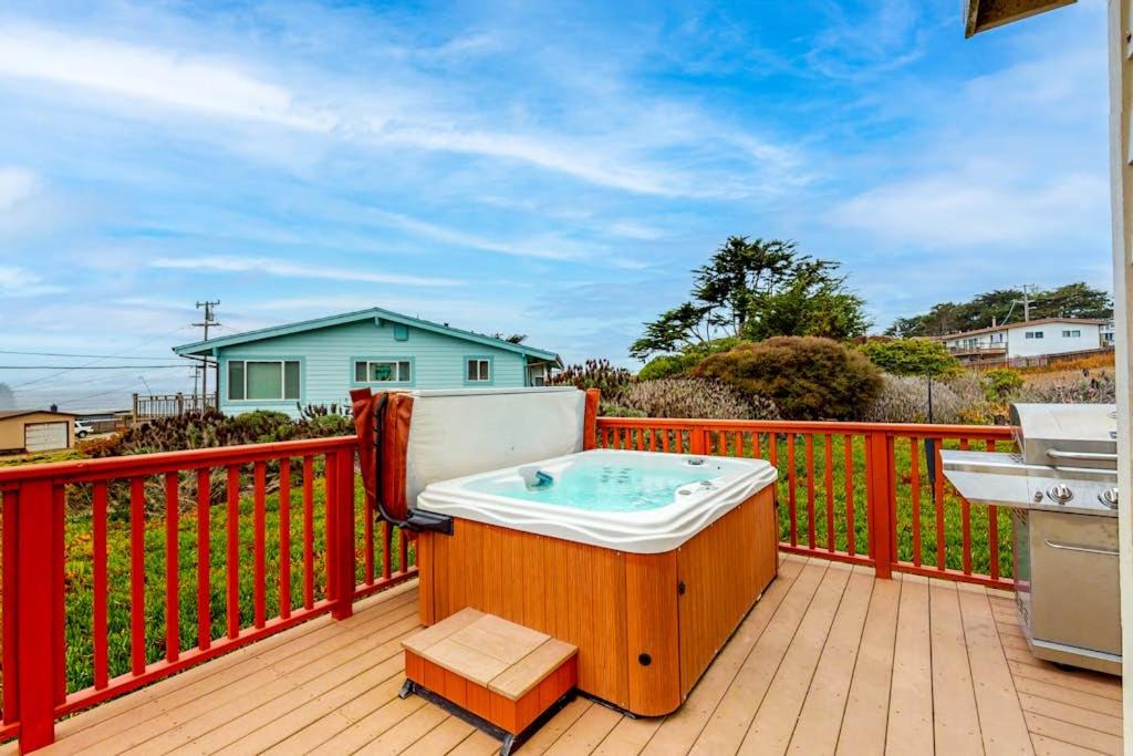 Photo of Others in Bodega Bay