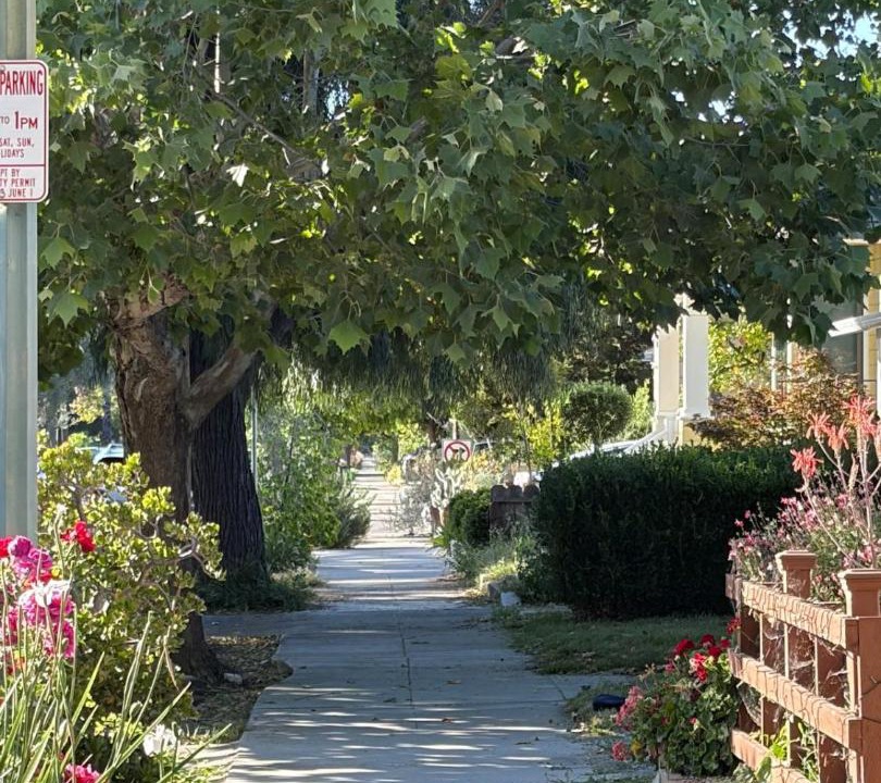 Photo of Others in San Jose