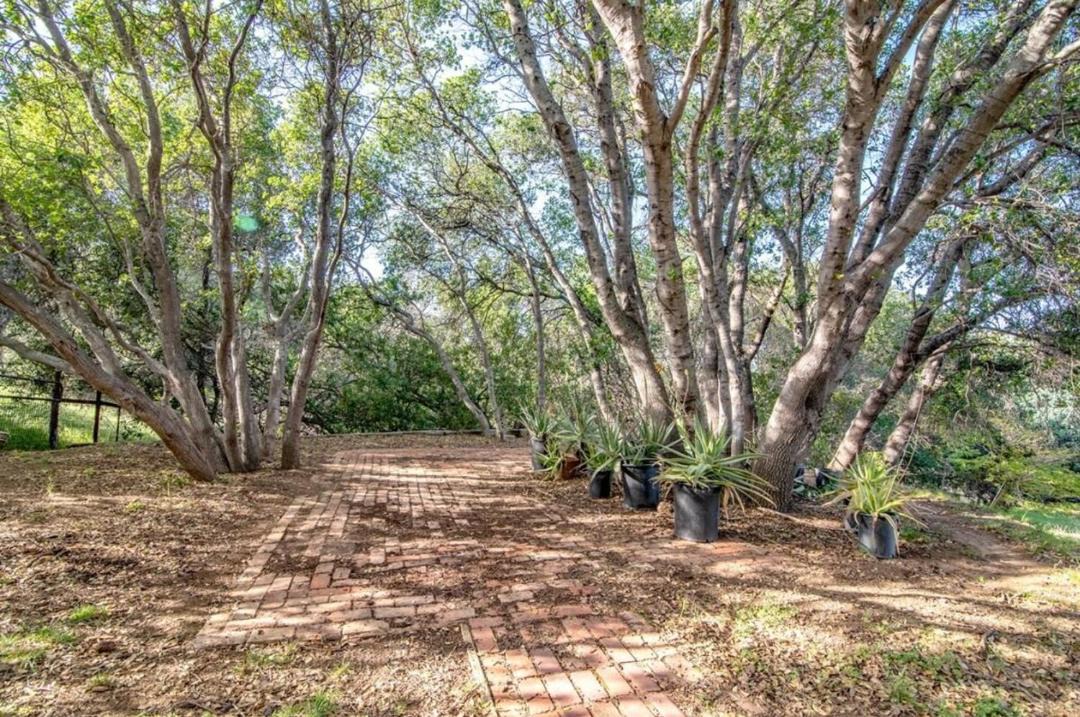 Photo of Outdoor in College City