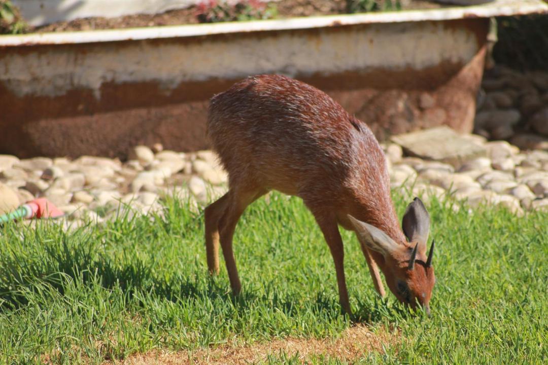 Photo of Others in De Hoop