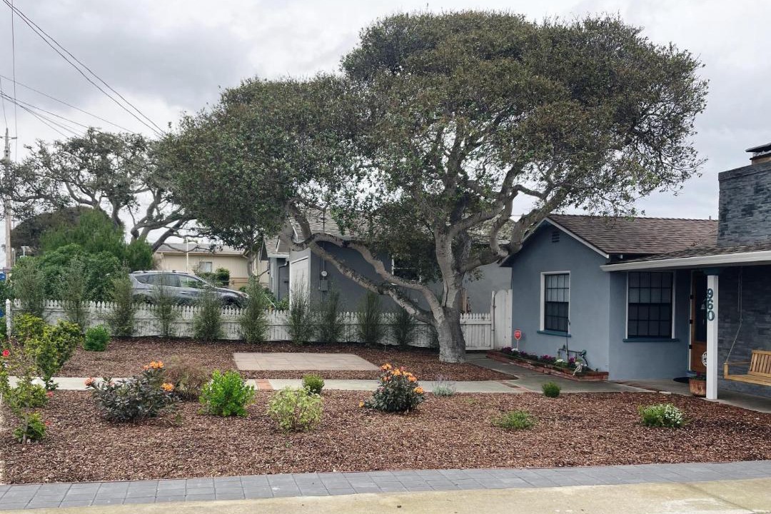 Photo of Others in Del Rey Oaks