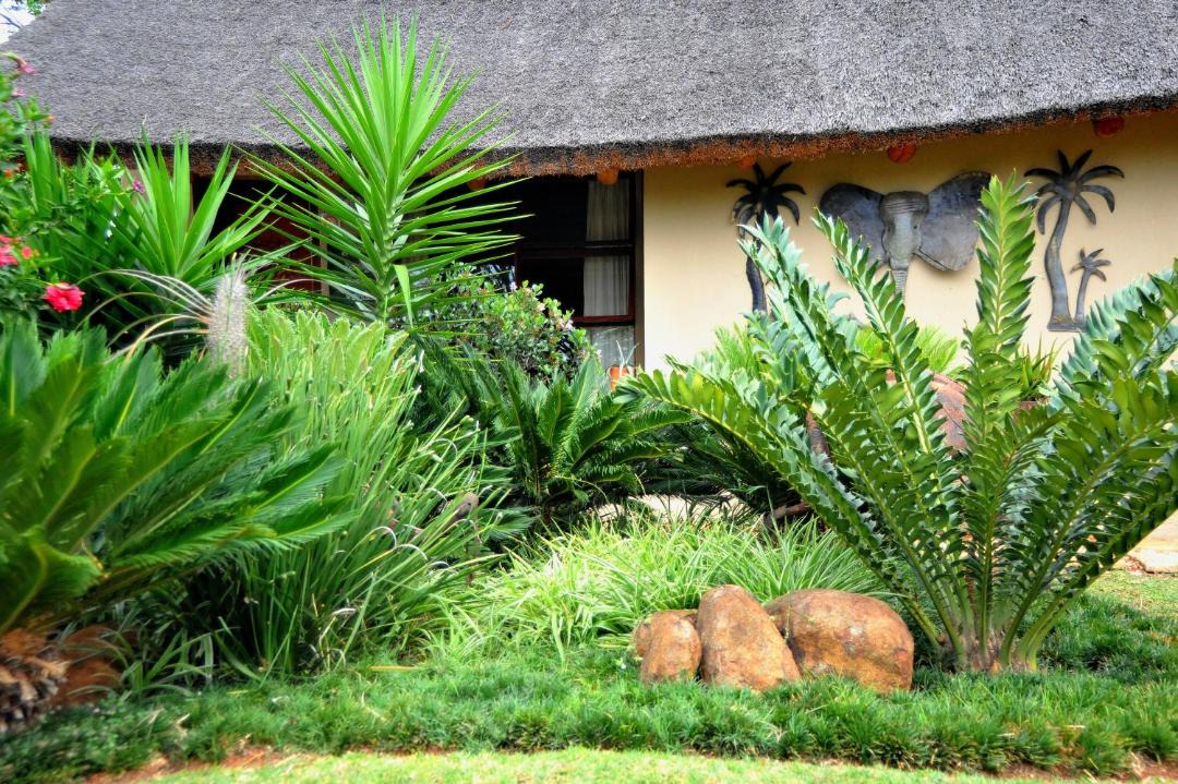 Photo of Others in Tzaneen