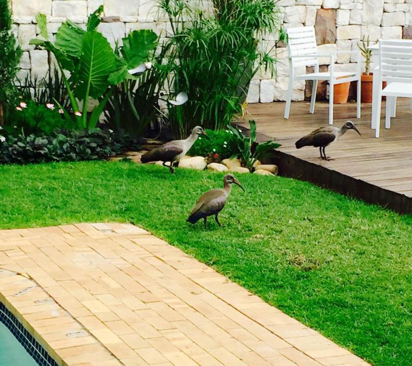 Photo of Others in Green Point