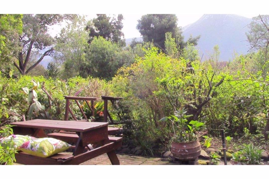 Photo of Others in Storms River