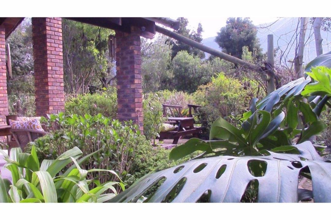 Photo of Others in Storms River