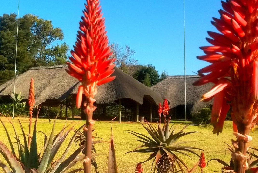 Photo of Others in Mkhondo