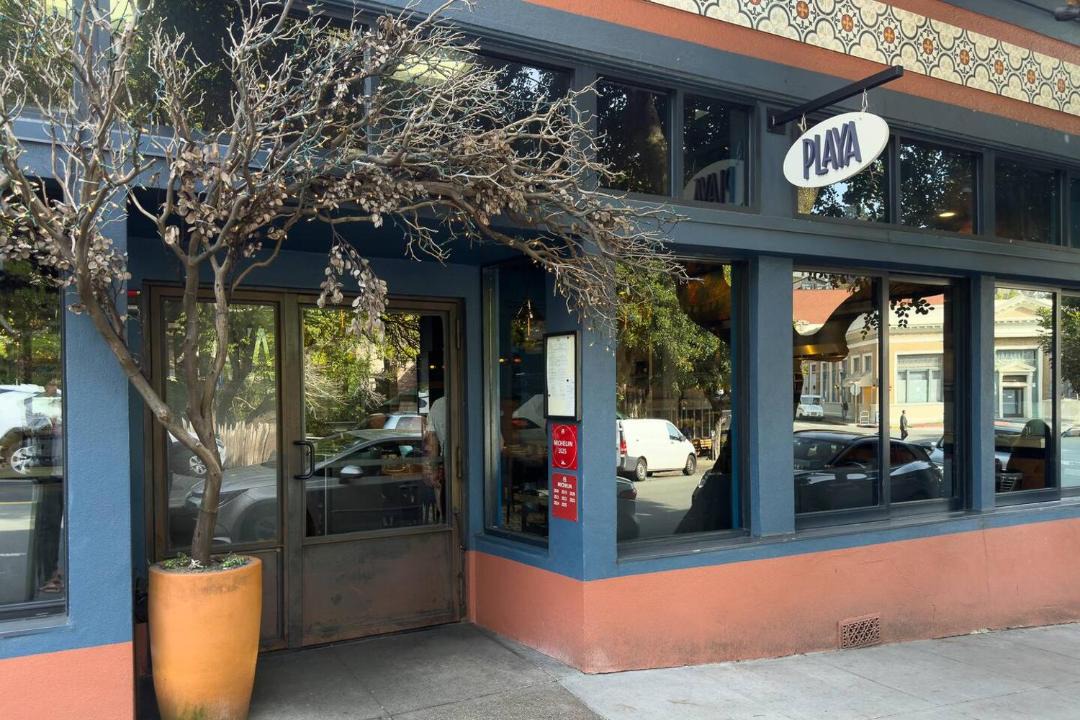 Photo of Others in Mill Valley