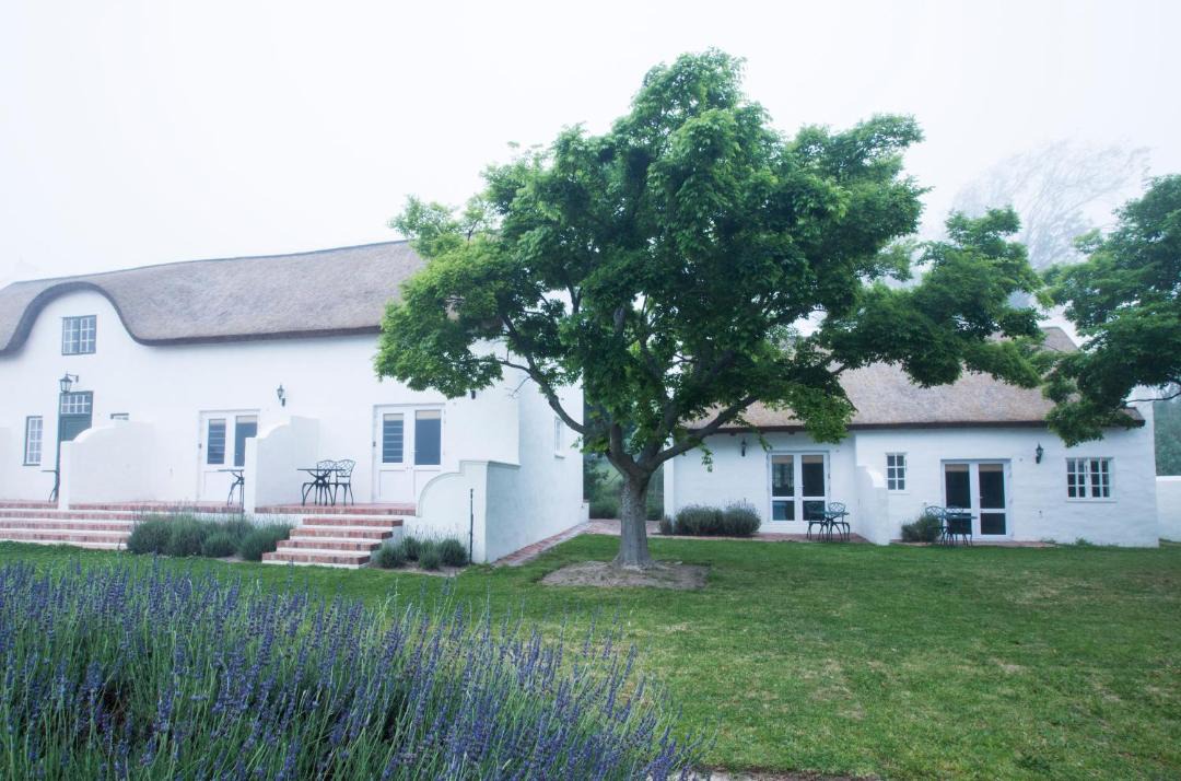 Photo of Others in Cape Winelands