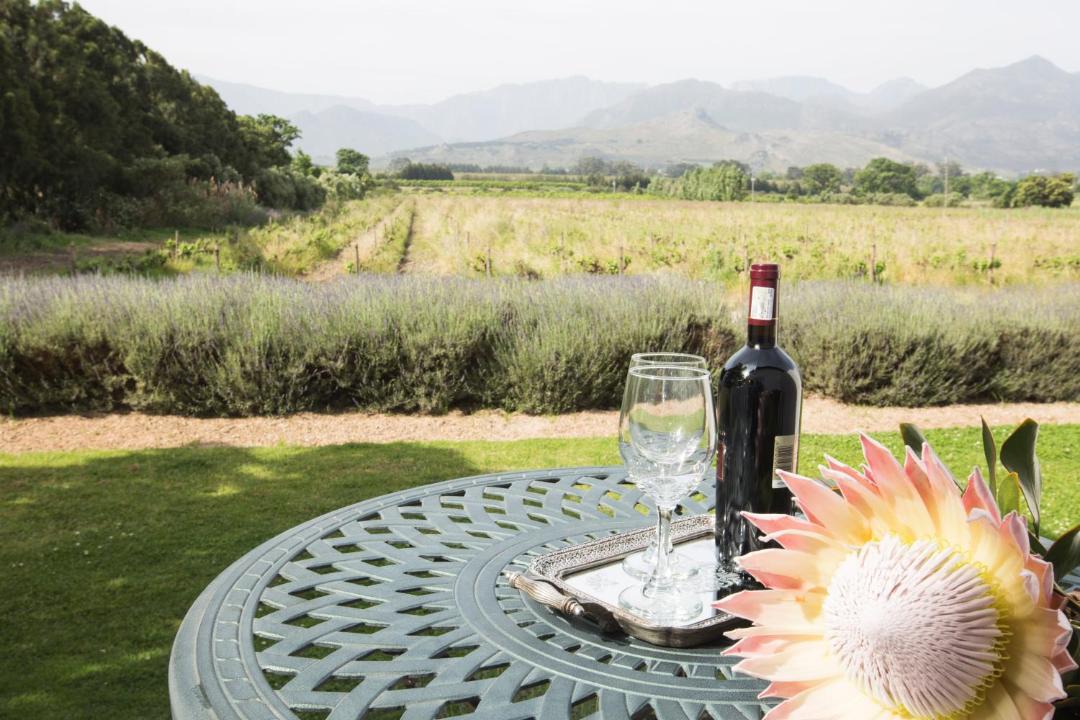 Photo of Others in Cape Winelands