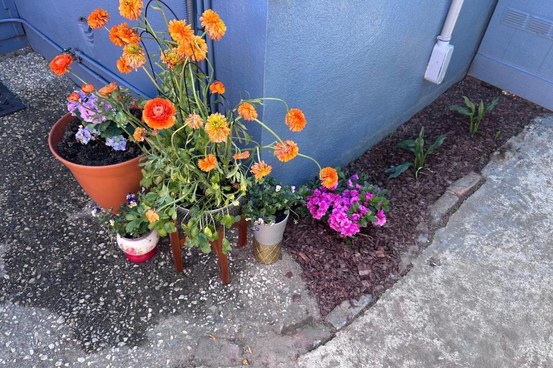 Photo of Others in Alum Rock