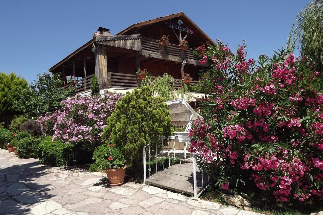 Photo of Others in Sinop